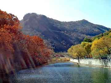 新澳天天开奖资料大全旅游团，婚庆烛台